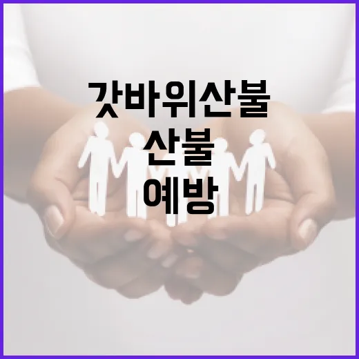 갓바위산불을 예방하고 대처하는 방법 - 요약