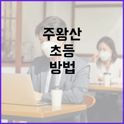 주왕산을 초등학생과 함께 즐기는 방법 - 요약