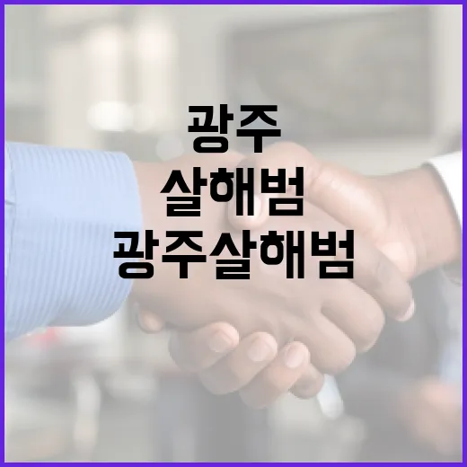 광주 살해범에 대한 이해와 예방 방법 - 요약