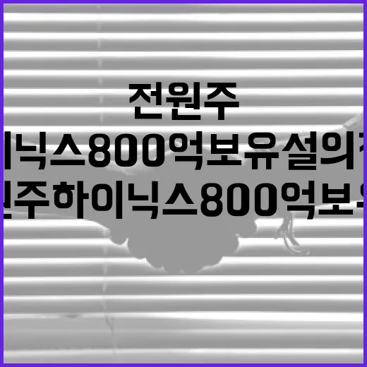 전원주 하이닉스 800억 보유설의 진실을 밝히는 방법 - 요약