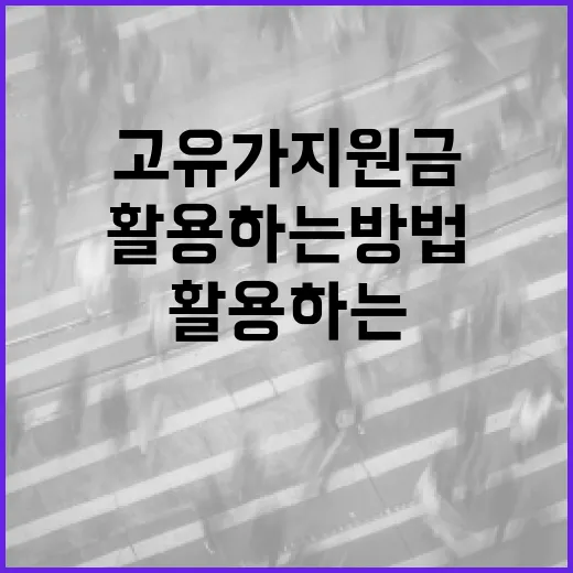 고유가지원금을 효율적으로 활용하는 방법 - 요약