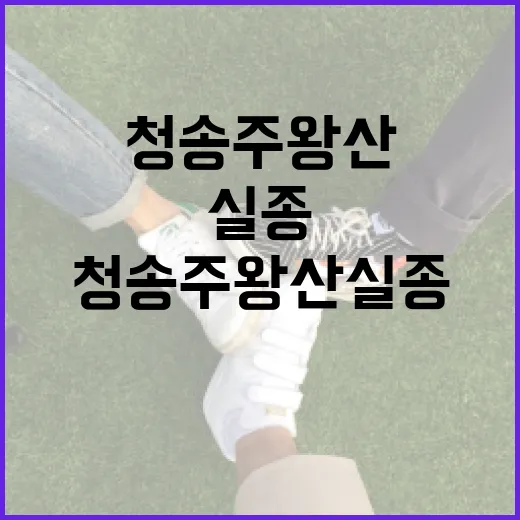 청송 주왕산 실종을 예방하는 방법 - 요약