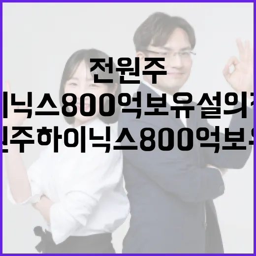 전원주 하이닉스 800억 보유설의 진실을 알아보는 방법 - 요약
