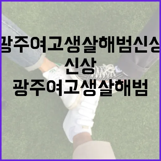 광주 여고생 살해범 신상에 대해 알아보는 방법 - 요약