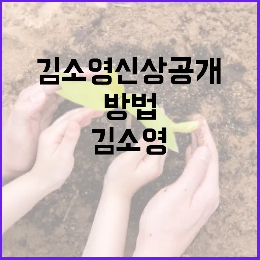 김소영 신상공개를 이해하는 방법 - 요약