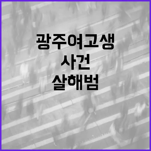 광주 여고생 살해범 사건을 이해하는 방법 - 요약