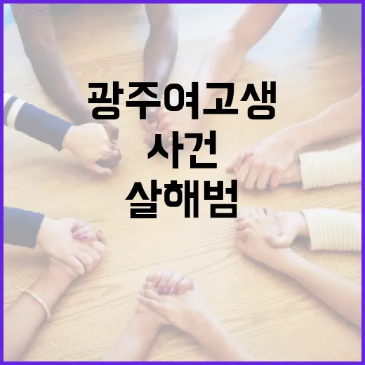 광주 여고생 살해범 사건을 이해하는 방법 - 요약