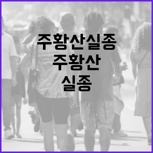 주황산 실종 사건 이해하고 대처하는 방법 - 요약