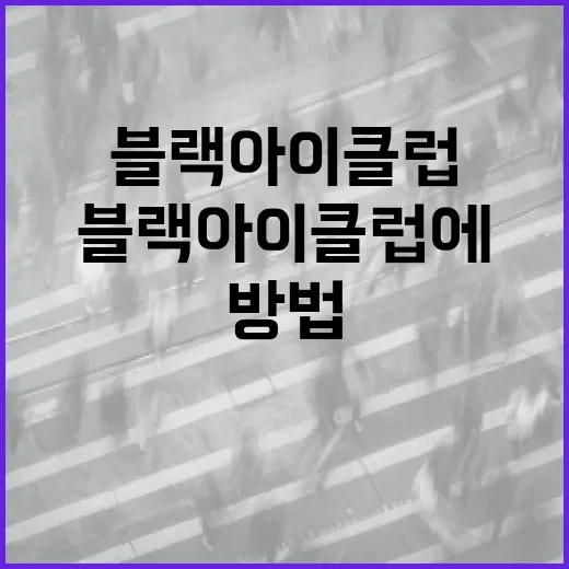 블랙아이클럽에 대해 알아보고 즐기는 방법 - 요약
