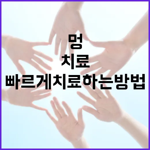 조국 멍을 빠르게 치료하는 방법 - 요약