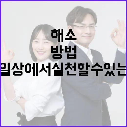 조국 멍 해소하는 방법: 일상에서 실천할 수 있는 팁 - 요약