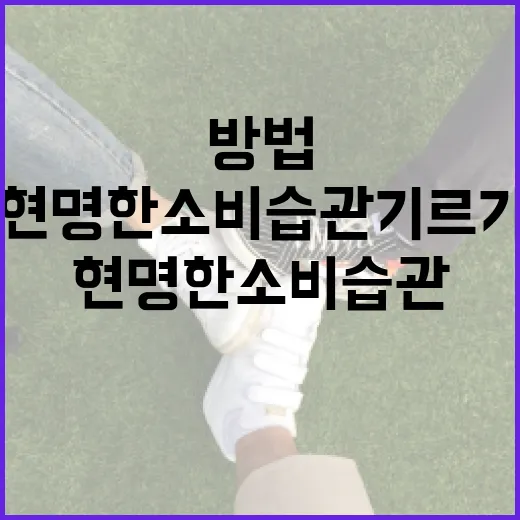 조국 눈탱이를 피하는 방법: 현명한 소비 습관 기르기 - 요약