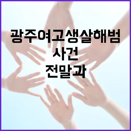 광주 여고생 살해범 사건: 사건의 전말과 교훈 - 요약