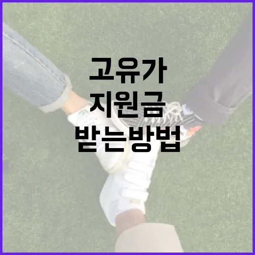 고유가지원금을 받는 방법 - 요약