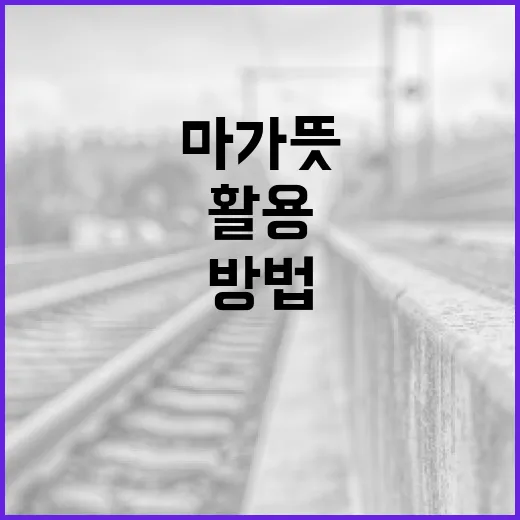 마가 뜻을 알아보고 활용하는 방법 - 요약