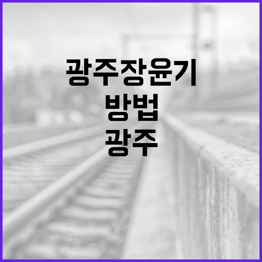 광주 장윤기에 대해 알아보는 방법 - 요약