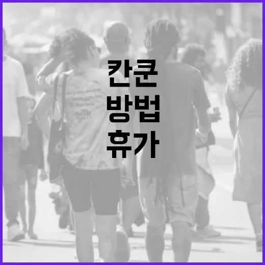 정원오 칸쿤에서 멋진 휴가를 보내는 방법 - 요약