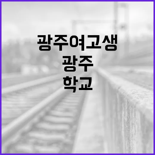 광주 여고생으로서 성공적인 학교 생활을 하는 방법 - 요약