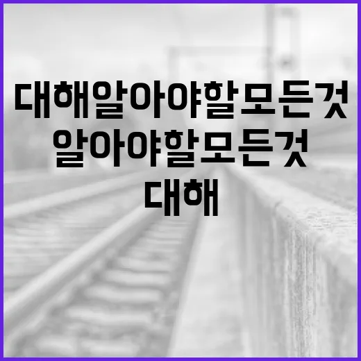 김영길에 대해 알아야 할 모든 것 - 요약