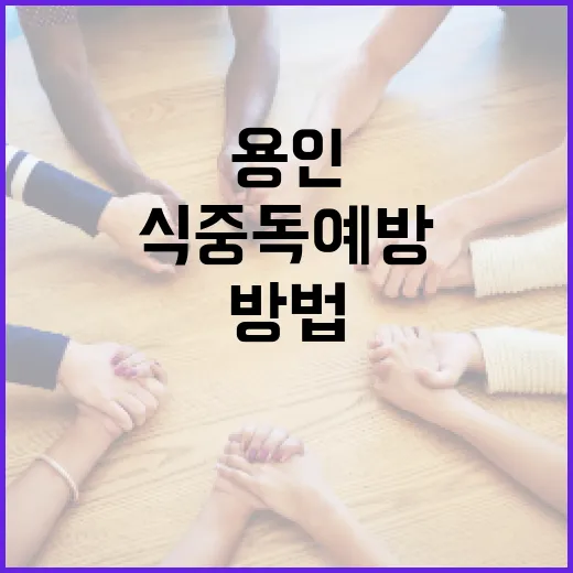 용인에서 식중독 예방하며 안전하게 외식하는 방법 - 요약