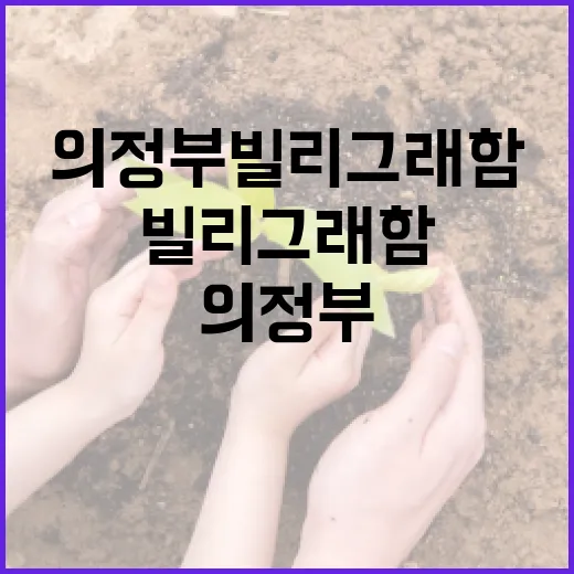의정부 빌리그래함에서 즐길 수 있는 방법 - 요약