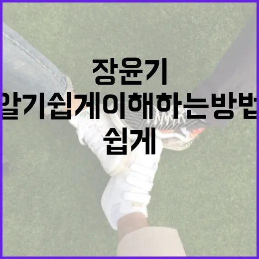 장윤기를 알기 쉽게 이해하는 방법 - 요약