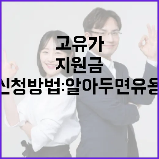 고유가 지원금 신청 방법: 알아두면 유용한 팁 - 요약