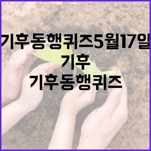 기후동행퀴즈 5월 17일 푸는 방법 - 요약