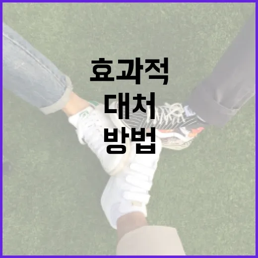조국 멍을 이해하고 효과적으로 대처하는 방법 - 요약