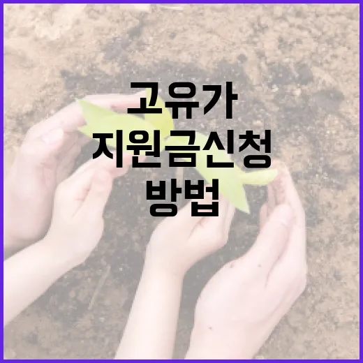 고유가 지원금 신청하는 방법: 놓치지 말고 혜택 받기 - 요약
