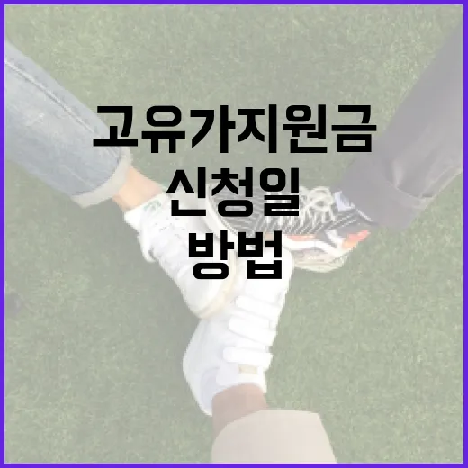 고유가 지원금 신청일을 아는 방법 - 요약