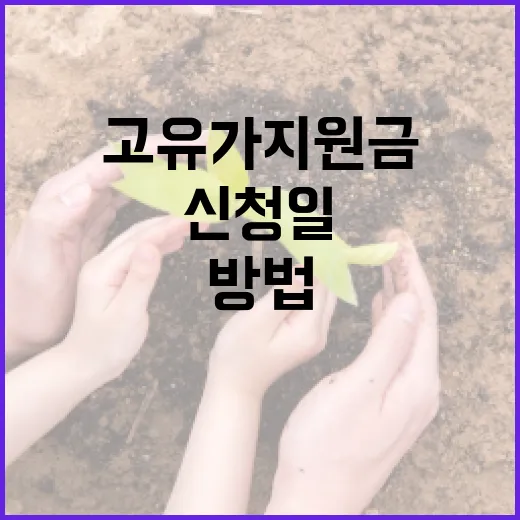 고유가 지원금 신청일을 아는 방법 - 요약