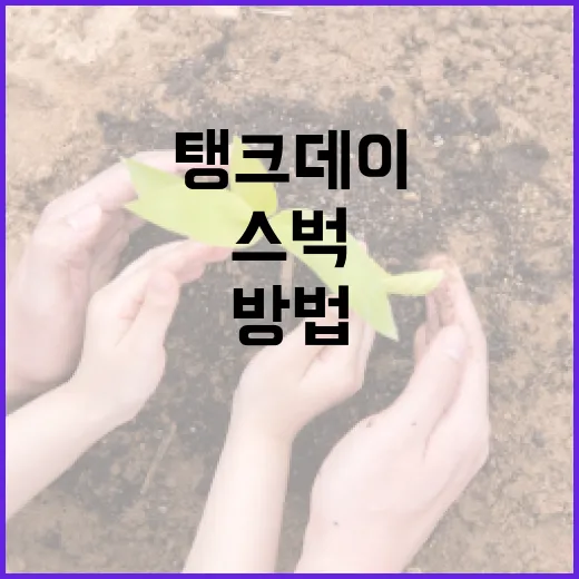 스벅 탱크데이 혜택을 최대한 활용하는 방법 - 요약