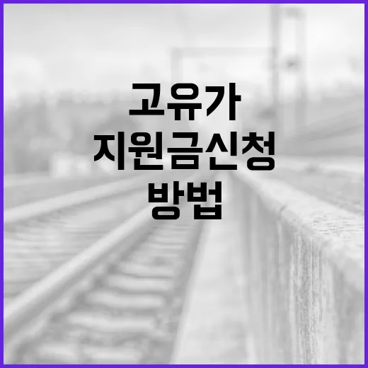 고유가 지원금 신청하는 방법: 초보자를 위한 가이드 - 요약
