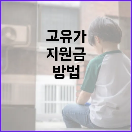 고유가지원금을 받는 방법과 유의사항 - 요약