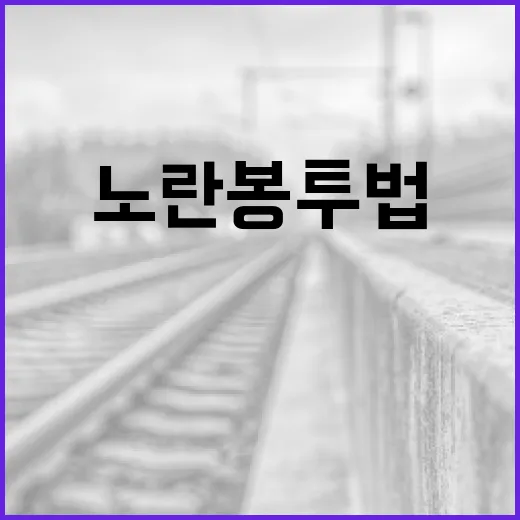 노란봉투법의 뜻과 활용 방법 알아보기 - 요약
