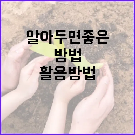 무신사 518: 알아두면 좋은 활용 방법 - 요약