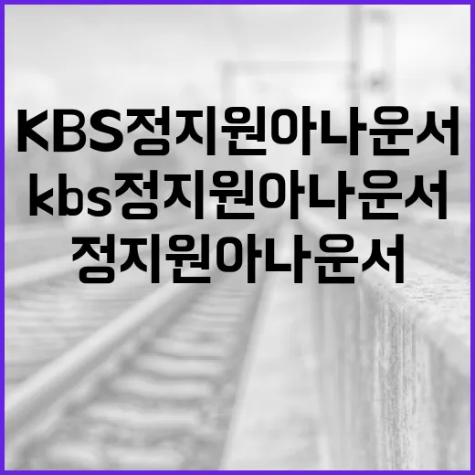 KBS 정지원 아나운서에 대한 모든 것: 그녀의 매력과 이야기 - 요약