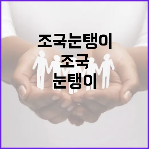 조국 눈탱이, 그 실체와 대처법 - 요약