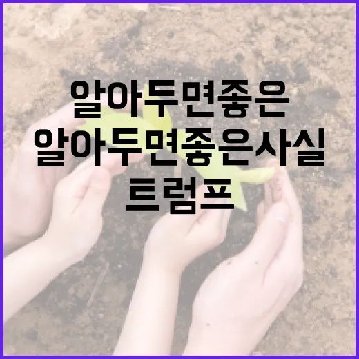 트럼프 장남에 대해 알아두면 좋은 사실들 - 요약