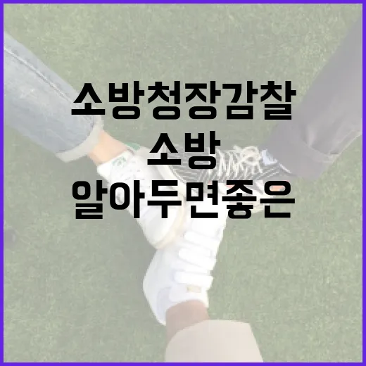 소방청장 감찰, 알아두면 좋은 사실들 - 요약