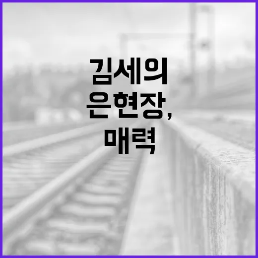 김세의 은현장, 그 매력의 세계를 탐험하는 방법 - 요약