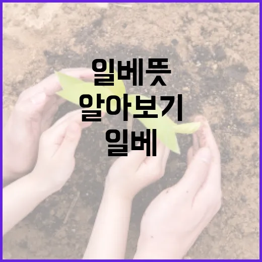 일베 뜻과 그 영향력 알아보기 - 요약