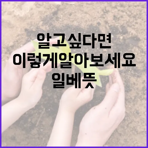 일베 뜻 알고 싶다면? 이렇게 알아보세요! - 요약