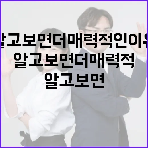 이채규, 알고 보면 더 매력적인 이유 - 요약
