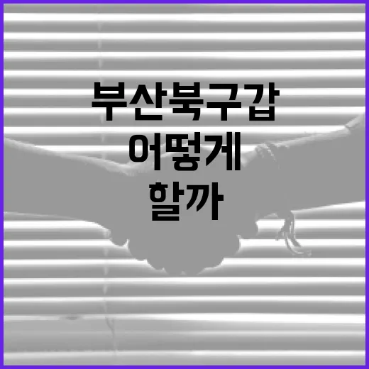 부산 북구갑 여론조사, 어떻게 바라봐야 할까? - 요약