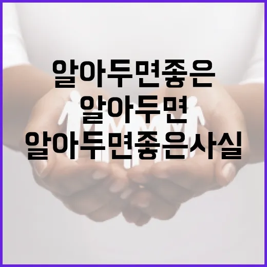 이채규에 대해 알아두면 좋은 사실들 - 요약