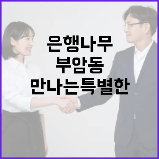 부암동 은행나무를 만나는 특별한 방법 - 요약
