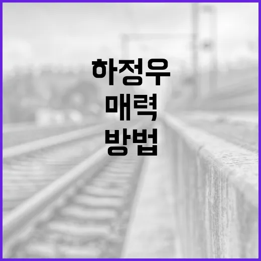 하정우의 매력에 빠져드는 방법 - 요약