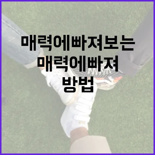 도성훈의 매력을 알아보는 방법 - 요약